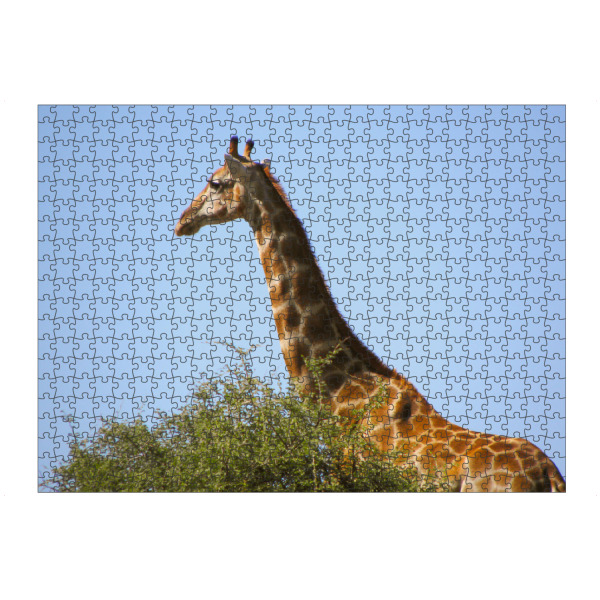 Puzzle Ravensburger "Giraffenhals" artboxONE - Natur,Reise,Tiere,Reise / Afrika,Reise / Länder