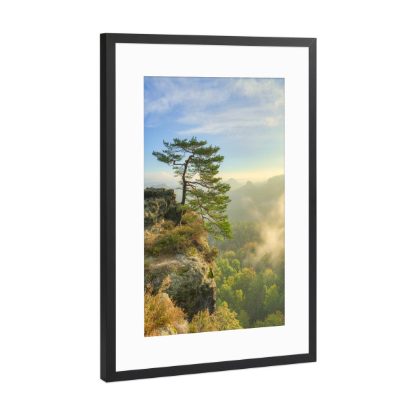 Poster mit Rahmen Schwarz (Metallic) "Kiefer in der Sächsischen Schweiz" artboxONE - Natur,Reise,Reise / Länder