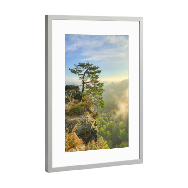 Poster mit Rahmen Silber "Kiefer in der Sächsischen Schweiz" artboxONE - Natur,Reise,Reise / Länder