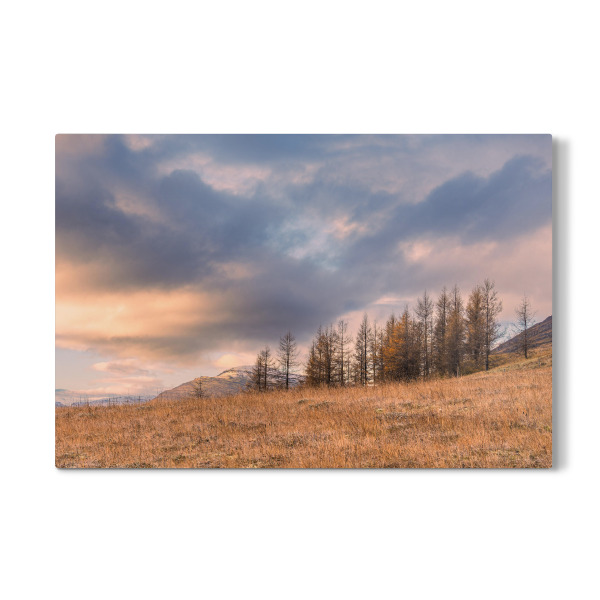 Galerie-Print "Landschaft mit Gras und Bäumen" 30x20 cm artboxONE