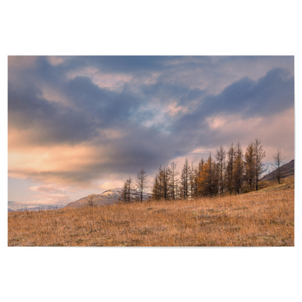 Poster "Landschaft mit Gras und Bäumen" artboxONE - Natur,Reise,Reise / Länder