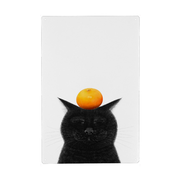 Metall Poster "Schwarze Katze mit Mandarine" artboxONE - Natur,Für Kinder,Tiere,Weihnachten,Lustig