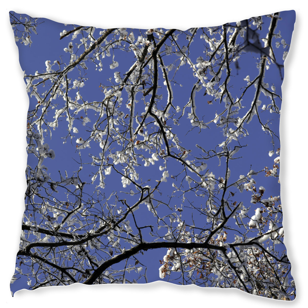 Design-Kissen "Winterhimmel mit Bߤumen" artboxONE - Natur,Floral