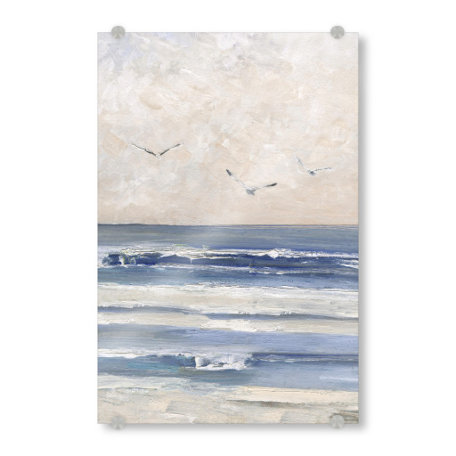 Soft Morning Seagulls