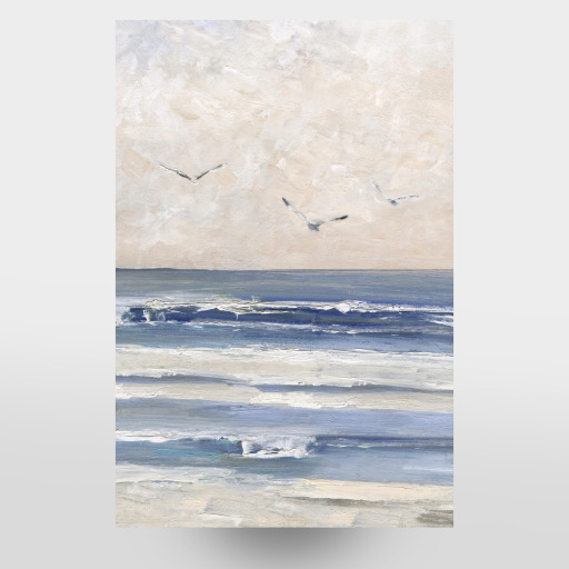 Soft Morning Seagulls