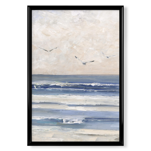 Soft Morning Seagulls