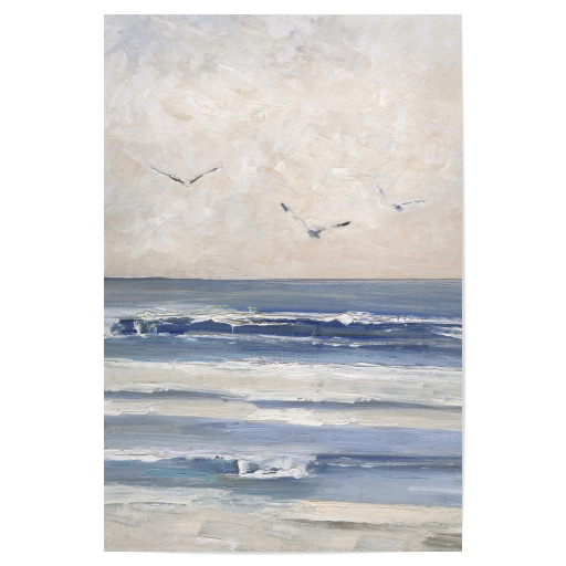 Soft Morning Seagulls