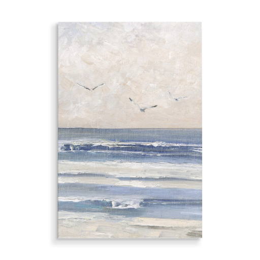 Soft Morning Seagulls