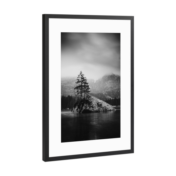 Poster mit Rahmen Schwarz (Metallic) "Frozen Tree" artboxONE - Natur,Reise,Abstrakt,Schwarzweiß,Reise / Länder