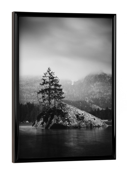 Poster mit schwarzem Rahmen "Frozen Tree" artboxONE - Natur,Reise,Abstrakt,Schwarzweiß,Reise / Länder