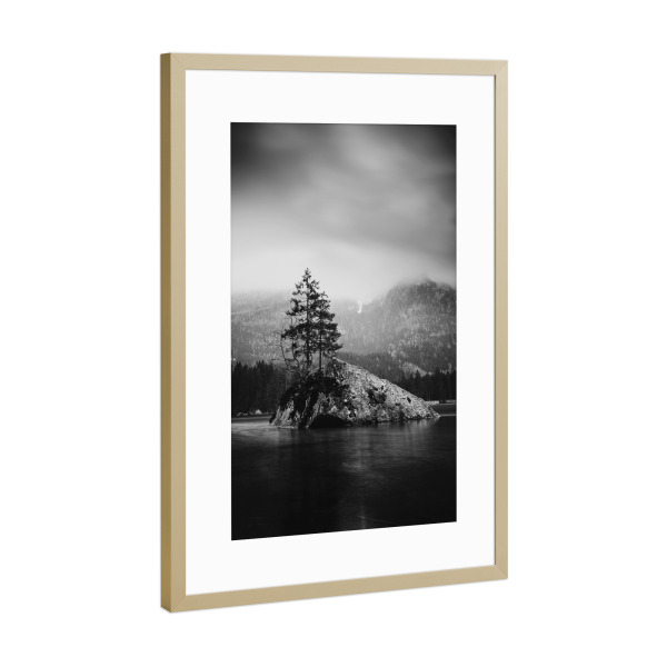 Poster mit Rahmen Gold "Frozen Tree" artboxONE - Natur,Reise,Abstrakt,Schwarzweiß,Reise / Länder