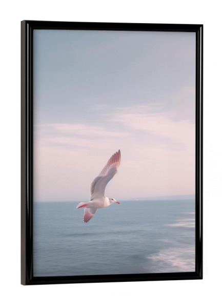 Poster mit schwarzem Rahmen "Möwe über dem Meer" artboxONE - Natur,Reise,Tiere,Reise / Strand und Meer