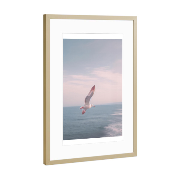 Poster mit Rahmen Gold "Möwe fliegt über dem Meer" artboxONE - Natur,Reise,Tiere,Reise / Strand und Meer