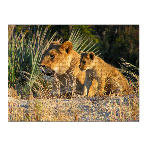 Puzzle Ravensburger "Die Löwenmutter mit Baby" artboxONE - Natur,Reise,Tiere,Reise / Afrika