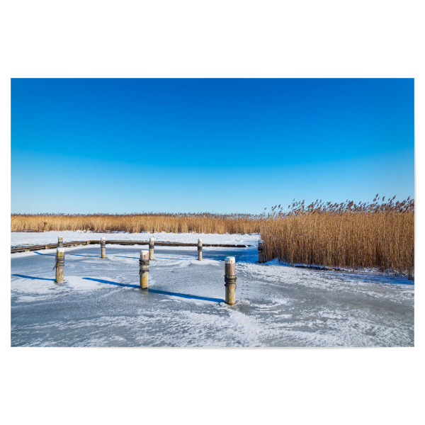 Poster "Bodden mit Schilf und Dalben" artboxONE - Natur,Reise,Reise / Strand und Meer