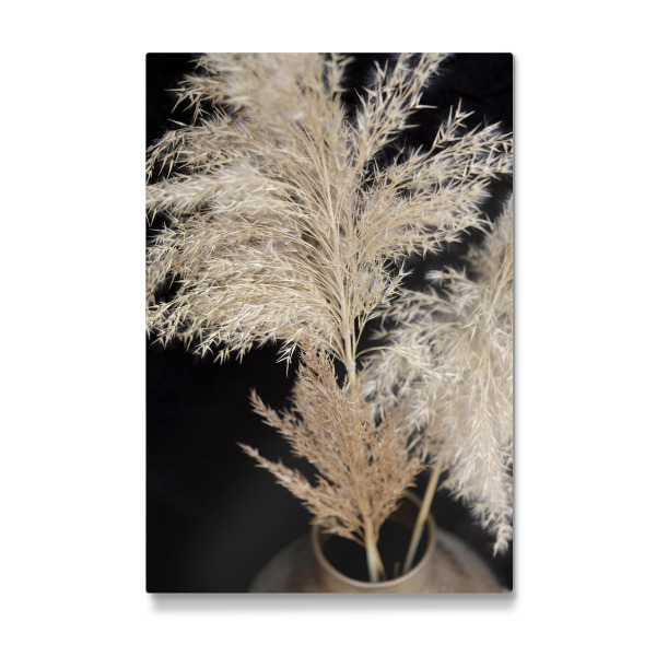 Galerie-Print "Botanische Serie Pampasgras Vase" 30x20 cm artboxONE