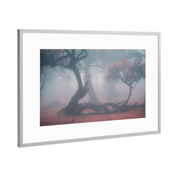 Poster mit Rahmen Silber "Wonderland Whispers" artboxONE - Natur,Reise,Buchstaben / L