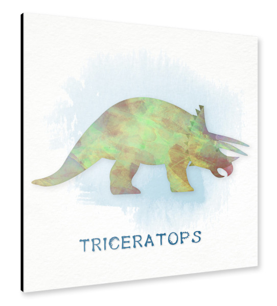 Alu-Dibond "Der Triceratops" 30x30 cm artboxONE