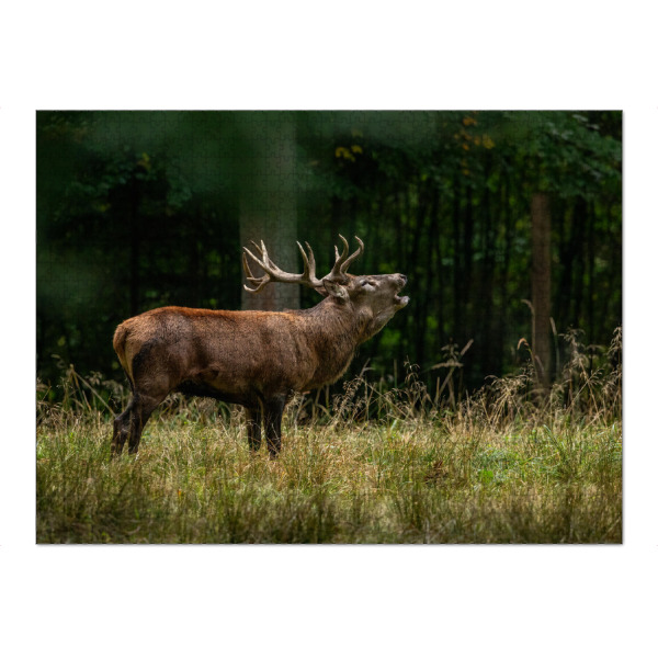 Puzzle Ravensburger "Der ruf des Hirsches" artboxONE - Natur,Tiere - Hirsch,Brunft,Hirsche,Rothirsch,Rotwild,Wild,Wildtiere,Wald - Bild hirsch