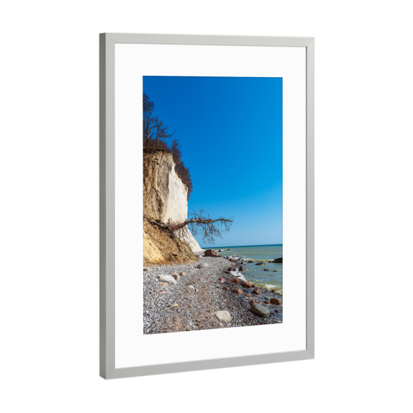 Poster mit Rahmen Silber "Baum am Kreidefelsen" artboxONE - Natur,Reise,Reise / Strand und Meer