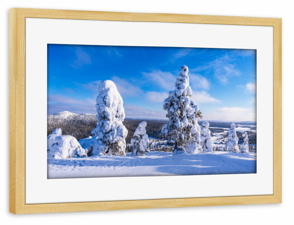 Poster mit Rahmen kiefer "Bäume mit Schnee in Ruka" artboxONE - Natur,Reise,Reise / Länder