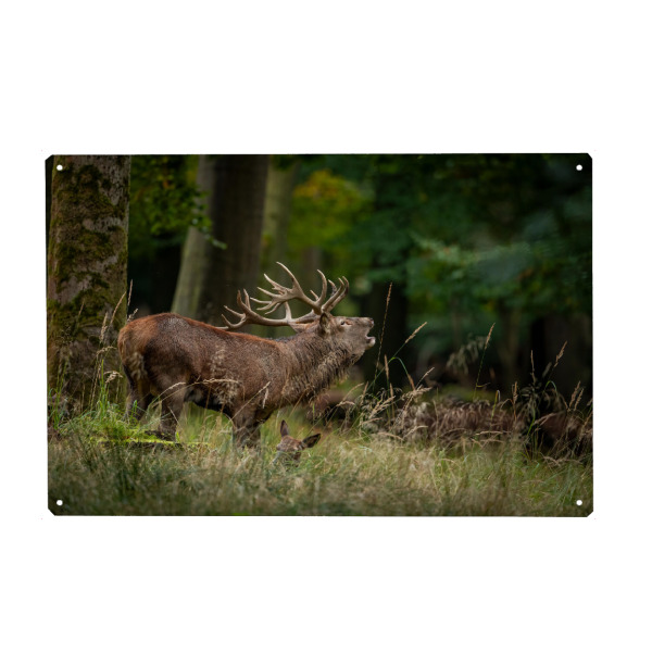 Holzbild "Der König ruft im Wald" artboxONE - Natur,Tiere - Hirsch,Brunft,Hirsche,Rothirsch,Rotwild,Wild,Wildtiere,Wald