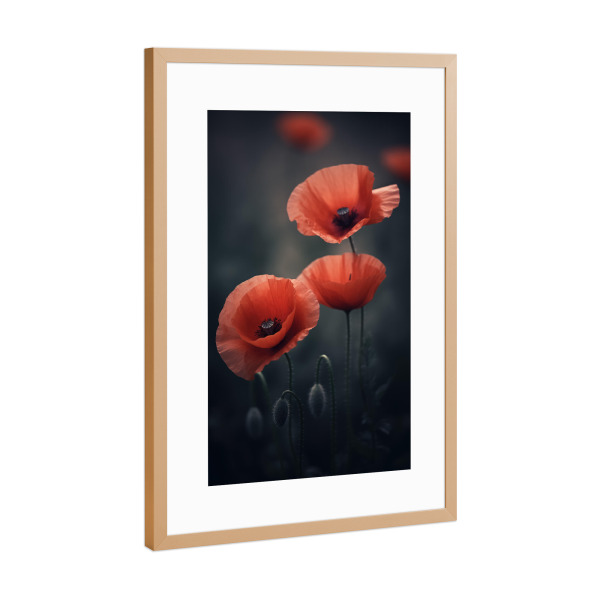 Poster mit Rahmen Kupfer "Dunkle Mohnblumen" artboxONE - Natur,Floral - Zart,Detail,Blume,Farben,Makro,Natur,Rosa,Mohnblumen,Mohn,Weich,Frühling