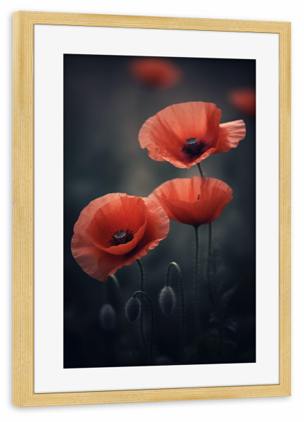 Poster mit Rahmen kiefer "Dunkle Mohnblumen" artboxONE - Natur,Floral - Zart,Detail,Blume,Farben,Makro,Natur,Rosa,Mohnblumen,Mohn,Weich,Frühling