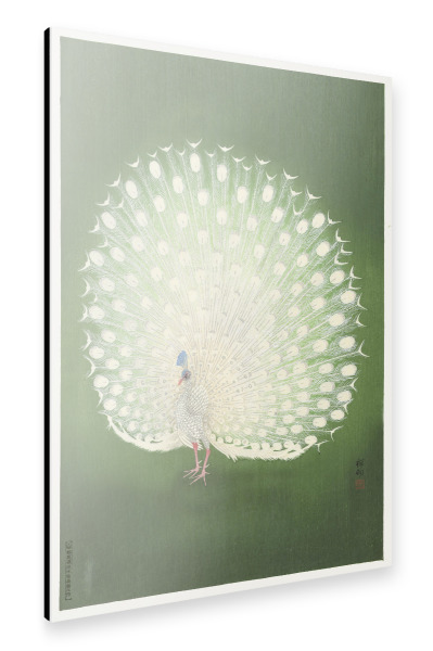 Alu-Dibond "Koson - Pfau" 30x20 cm artboxONE
