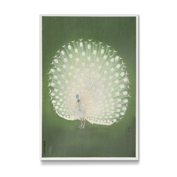Galerie-Print "Koson - Pfau" 30x20 cm artboxONE