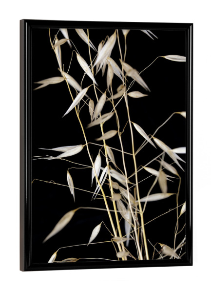 Poster mit schwarzem Rahmen "Botanische Serie Japan Gras" artboxONE - Natur,Floral,Abstrakt,Schwarzweiß