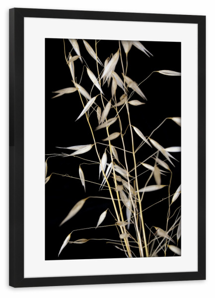 Poster mit Rahmen schwarz "Botanische Serie Japan Gras" artboxONE - Natur,Floral,Abstrakt,Schwarzweiß