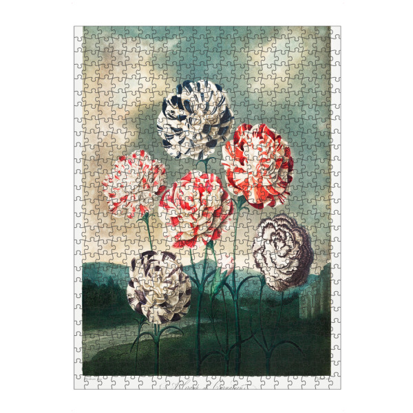 Puzzle Ravensburger "Thornton - Eine Gruppe von Nelken" artboxONE - Natur,Floral - Blüte,Natur,Museum,Flora,Botanik,Blume,Pflanze,Nam - Bild blüte
