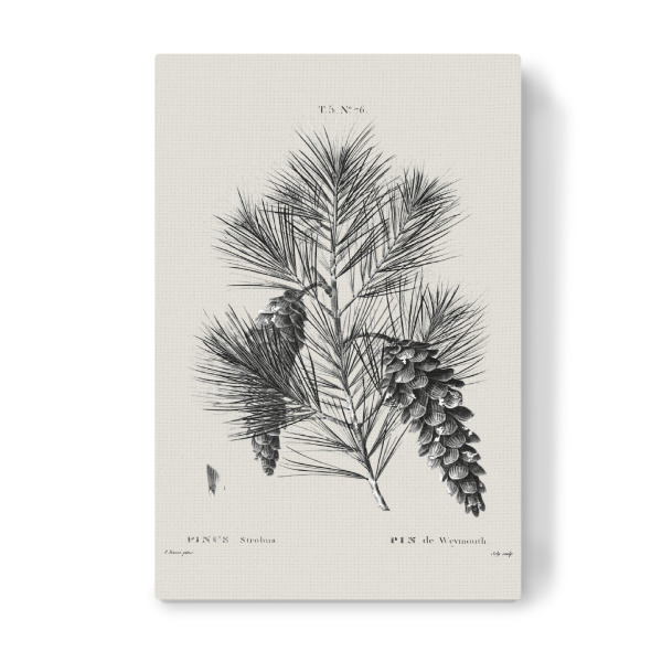 Leinwandbild "Vintage Holiday Pine Christmas" artboxONE - Natur,Floral,Weihnachten,Für Mama