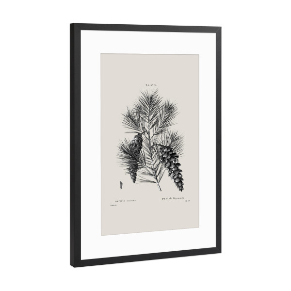 Poster mit Rahmen Schwarz (Metallic) "Vintage Holiday Pine Christmas" artboxONE - Natur,Floral,Weihnachten,Für Mama