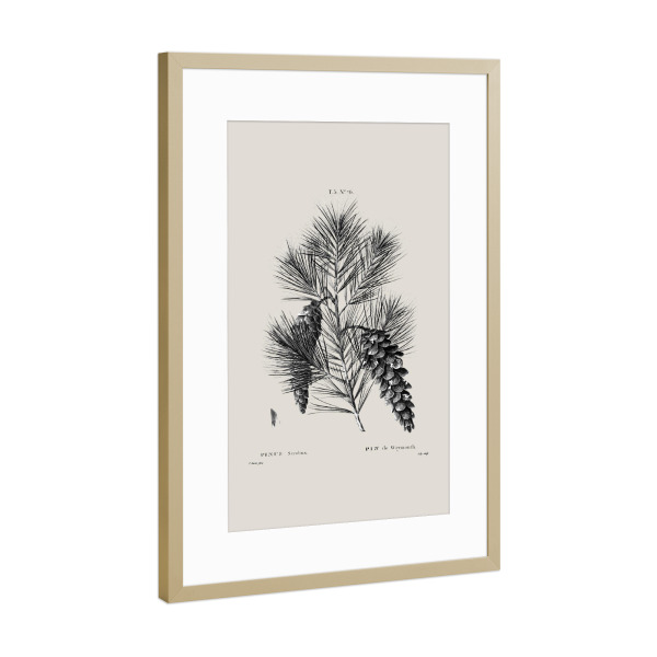 Poster mit Rahmen Gold "Vintage Holiday Pine Christmas" artboxONE - Natur,Floral,Weihnachten,Für Mama