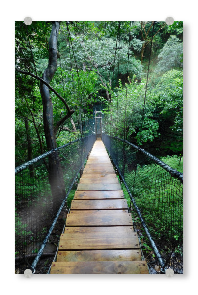 Acrylglasbild "Hängebrücke in Wald" artboxONE - Natur,Reise,Reise / Länder