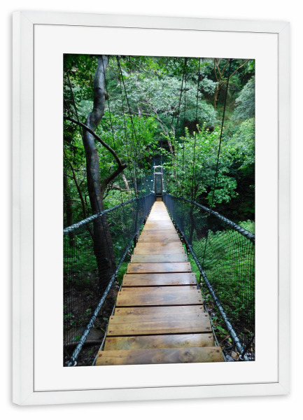 Poster mit Rahmen weiß "Hängebrücke in Wald" artboxONE - Natur,Reise,Reise / Länder