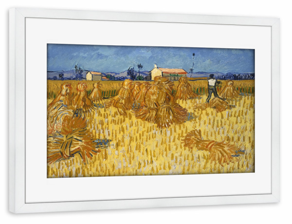 Poster mit Rahmen weiß "Maisernte in der Provence" artboxONE - Natur,Reise,Menschen,Für Mama,Für Papa