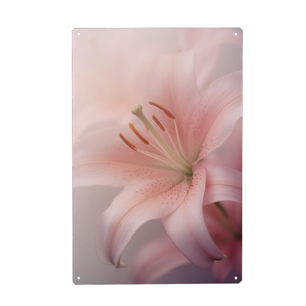 Metall Poster "Zarte Lilienblume" artboxONE - Natur,Floral - Zart,Detail,Blume,Farben,Lillium,Makro,Natur,Rosa,Weich,Frühling,Violett - Blechschild