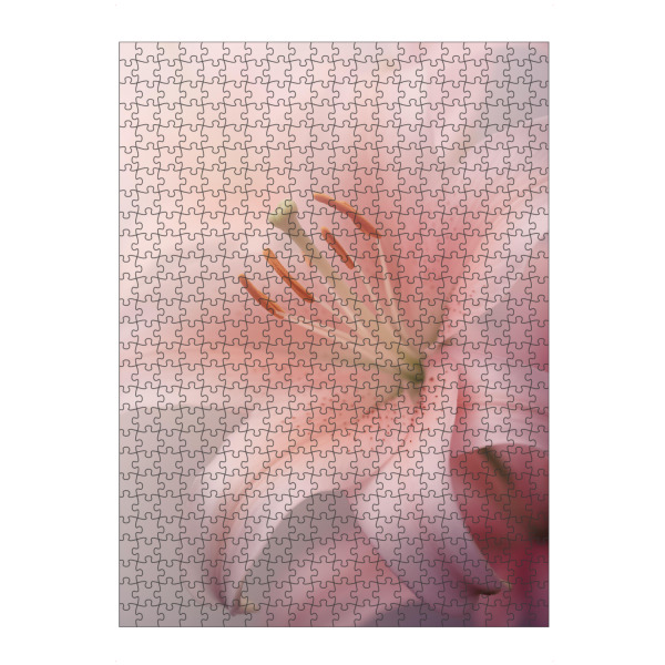Puzzle Ravensburger "Zarte Lilienblume" artboxONE - Natur,Floral - Zart,Detail,Blume,Farben,Lillium,Makro,Natur,Rosa,Weich,Frühling,Violett