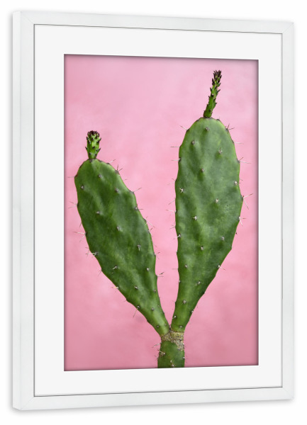 Poster mit Rahmen weiß "Kaktus Herz grün rosa" artboxONE - Natur,Reise,Floral,Abstrakt,Liebe