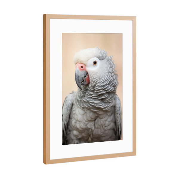 Poster mit Rahmen Kupfer "Foto eines Graupapageien" artboxONE - Tiere