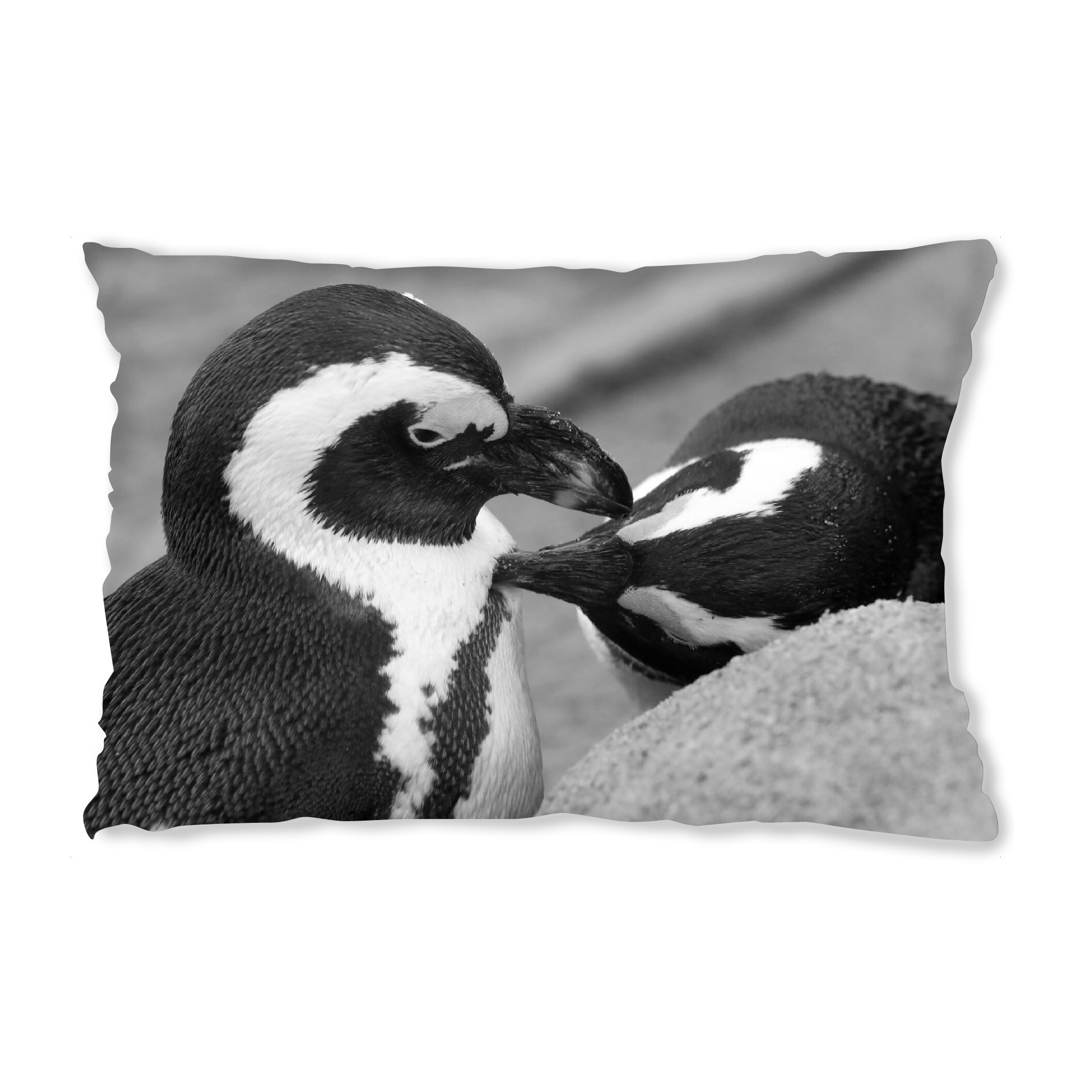Design-Kissen "Pinguin Liebe" artboxONE - Natur,Tiere,Schwarzweiß,Liebe,Lustig