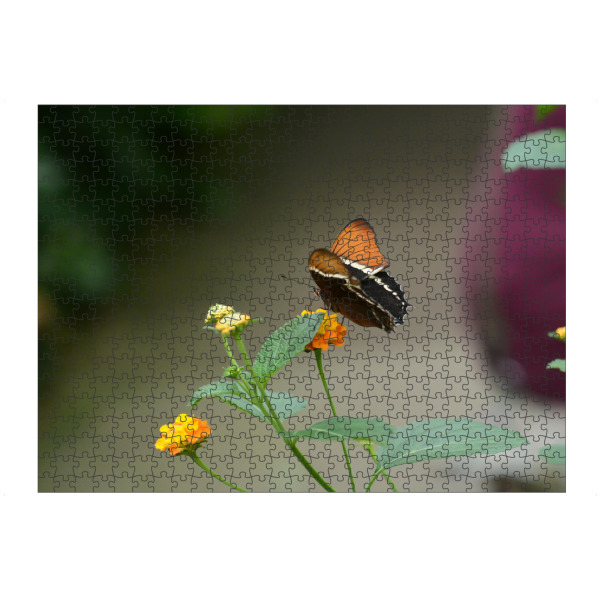 Puzzle Ravensburger "Schmetterling auf der Pflanze" artboxONE - Natur,Tiere - Nature,Schmetterling,Planze - Bild nature