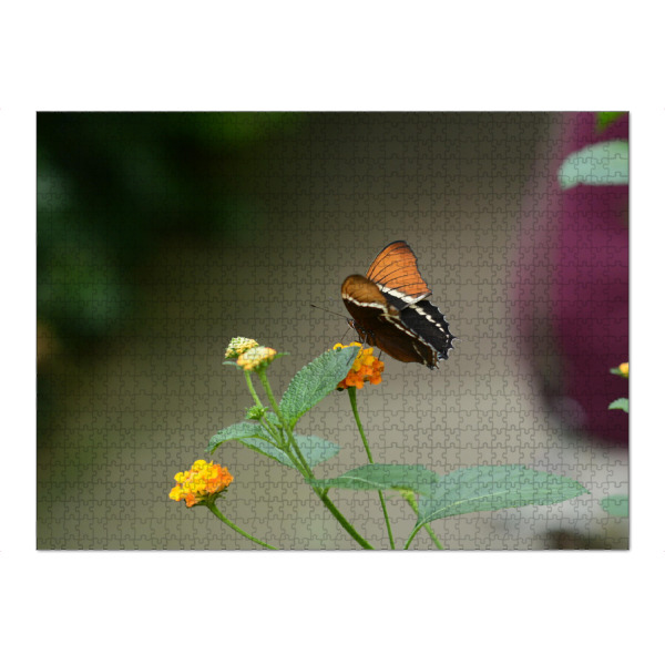 Puzzle Ravensburger "Schmetterling auf der Pflanze" artboxONE - Natur,Tiere - Nature,Schmetterling,Planze - Bild nature