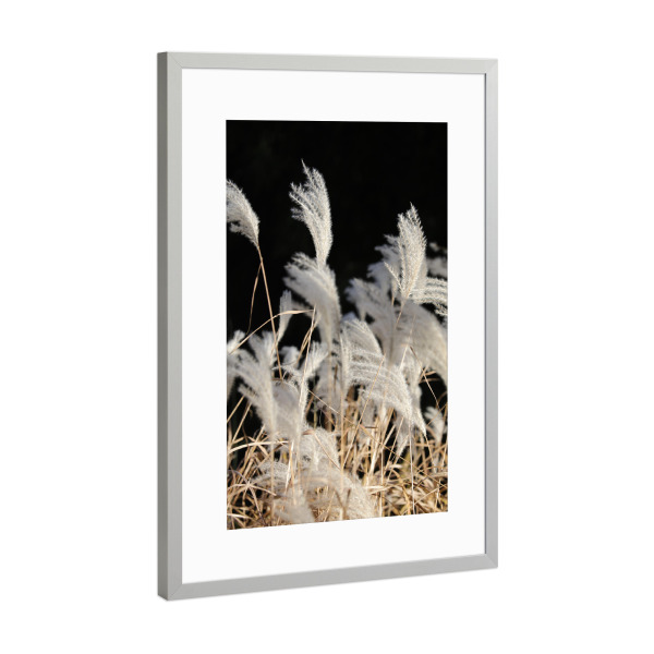 Poster mit Rahmen Silber "Federgras Naturfarben Sommer" artboxONE - Natur,Floral,Abstrakt