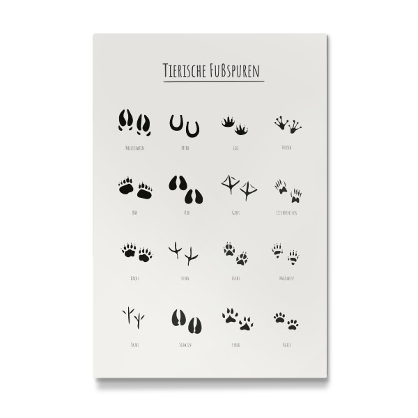 Galerie-Print "Lernposter - Tierische Fußspuren" 30x20 cm artboxONE