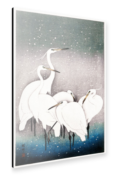Alu-Dibond "Koson - Gruppe von Reihern" 30x20 cm artboxONE