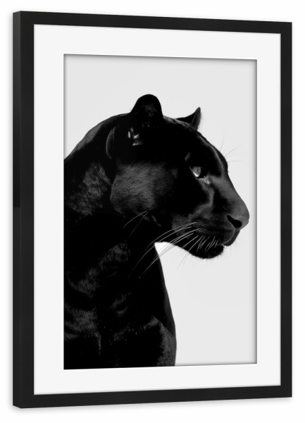 Poster mit Rahmen schwarz "Panther-Minimalist" artboxONE - Natur,Tiere - Panther minimalistisch,Panther